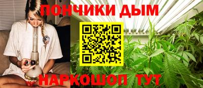 крисы Будённовск