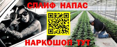 крисы Будённовск
