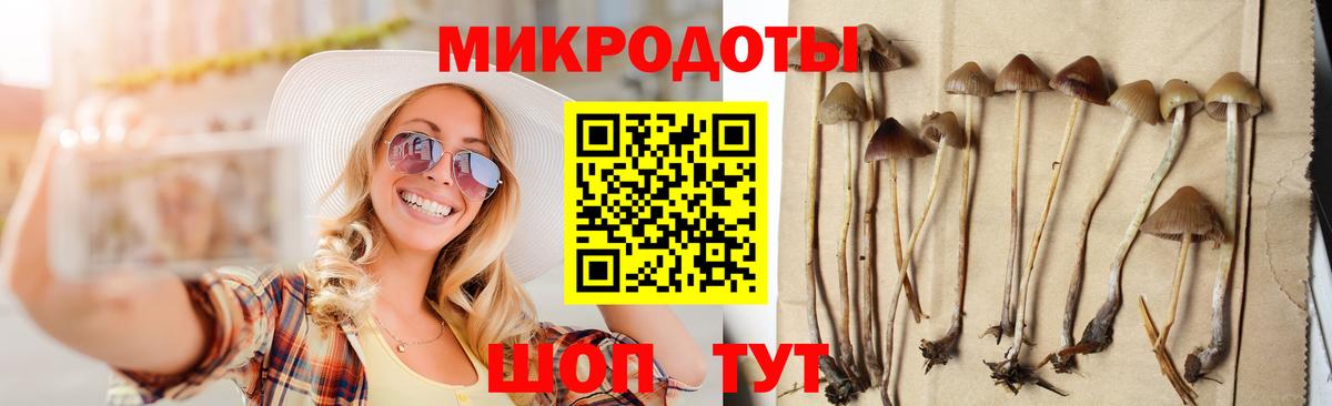 Коряжма  Псилоцибиновые грибы мицелий  Вход с VPN 