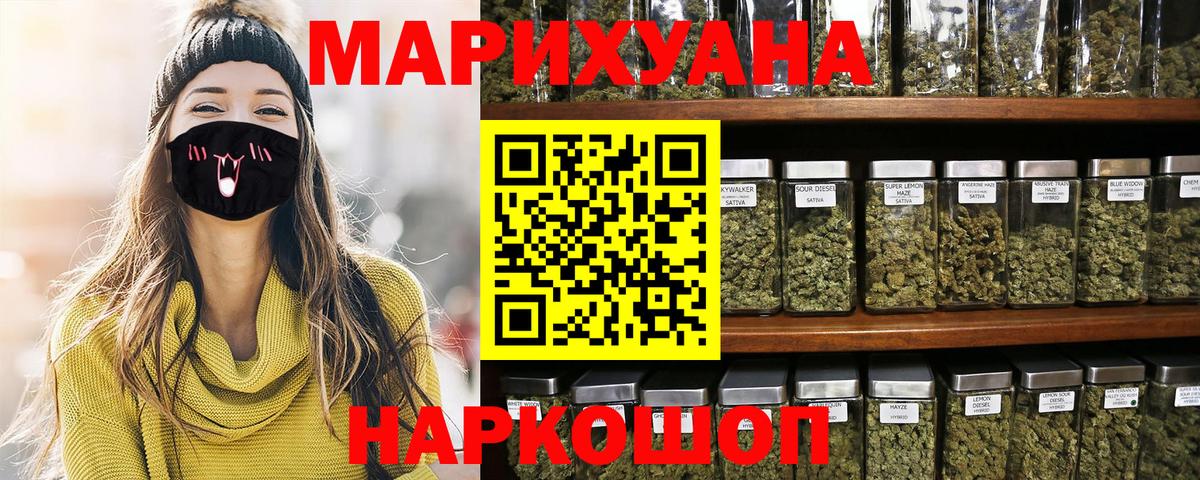 Каннабис сатива Коряжма